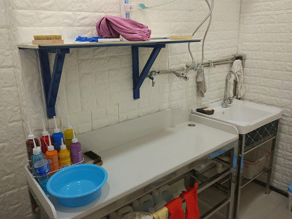 <a href='http://www.haolaimo.com/aboutus.html'>潔希亞國際洗衣</a>大竹林店4